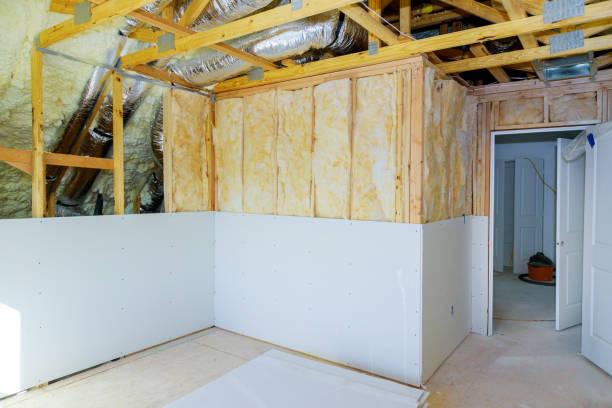 Best Types of Insulation in Rosemont, CA